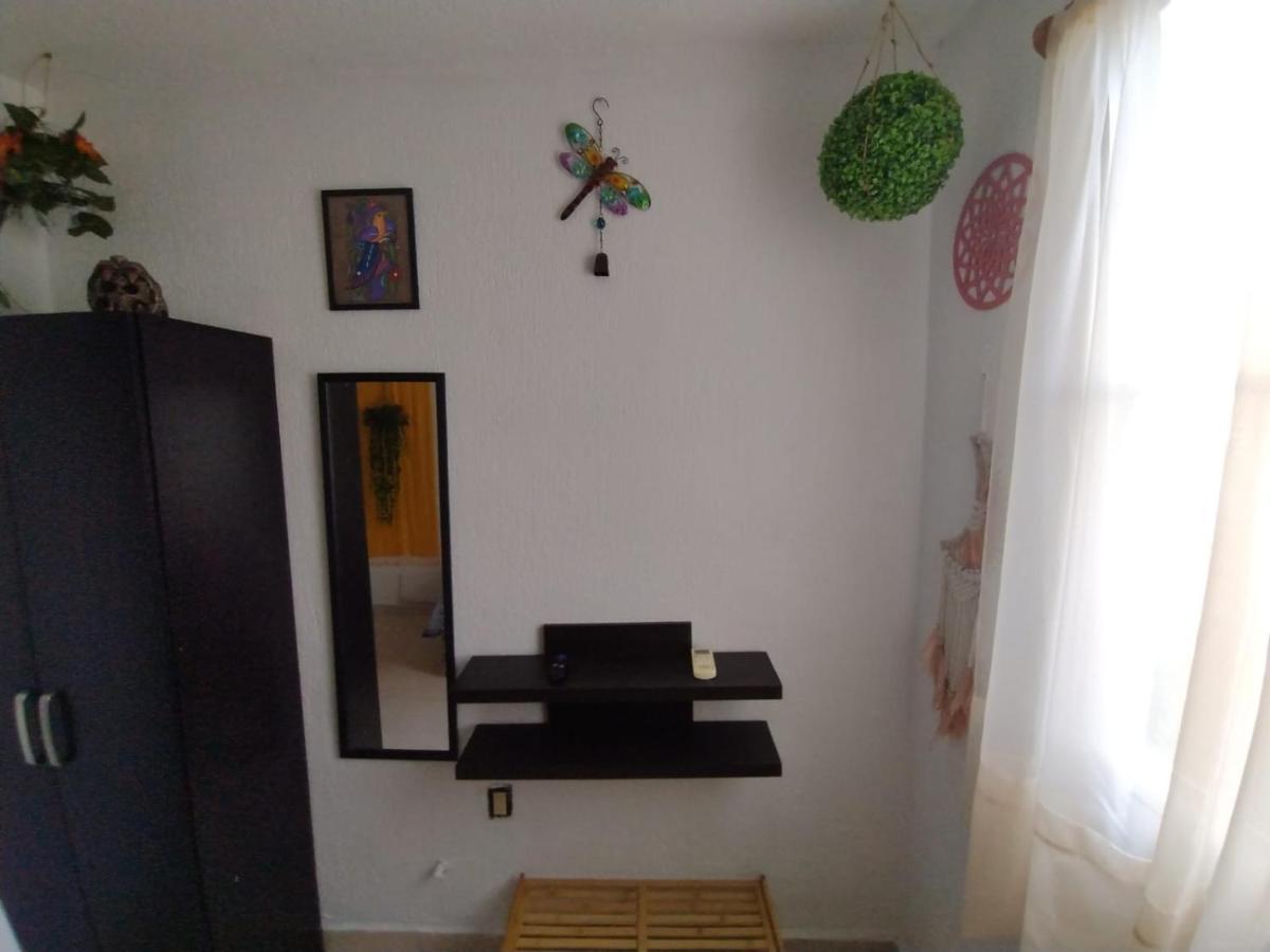 Mexico Arte Hostel